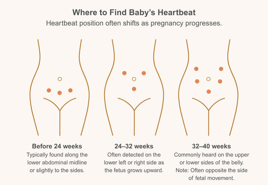 fetal doppler heartbeat position by week early pregnancy vs later pregnancy lower abdomen upper abdomen