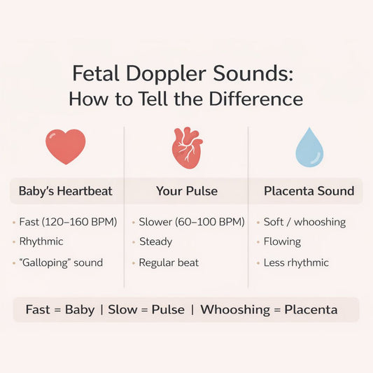 infographic comparing fetal doppler sounds including baby heartbeat, pulse, and placenta with speed and sound differences
