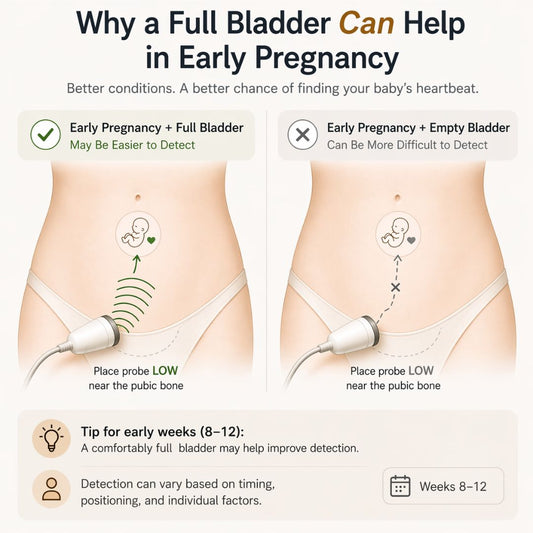 Fetal doppler early pregnancy comparison showing full vs empty bladder with low probe placement near pubic bone for heartbeat detection