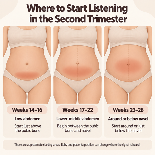 Diagram showing where to place a fetal doppler in the second trimester at weeks 14–16, 17–22, and 23–28