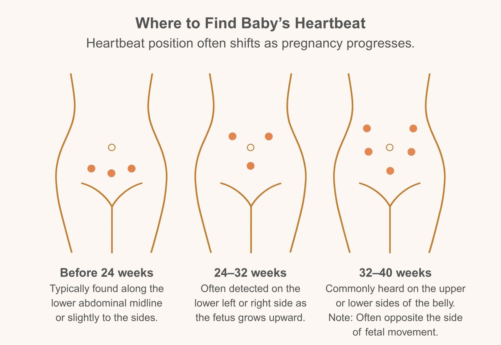 Fetal doppler placement by week showing where to find baby’s heartbeat during early and late pregnancy