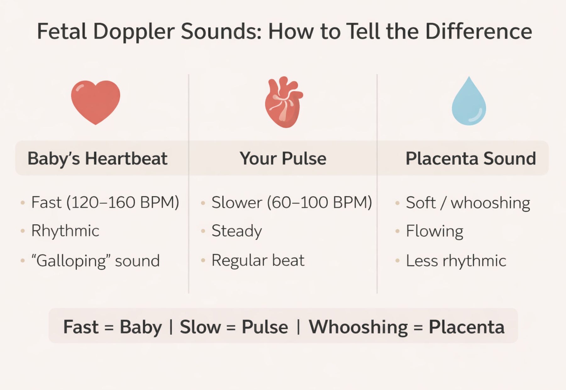 infographic comparing fetal doppler sounds including baby heartbeat, pulse, and placenta with speed and sound differences