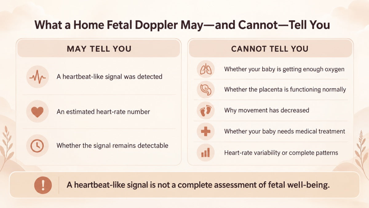 Infographic: what a home fetal doppler can and cannot tell you about reduced fetal movement — split CAN vs CANNOT