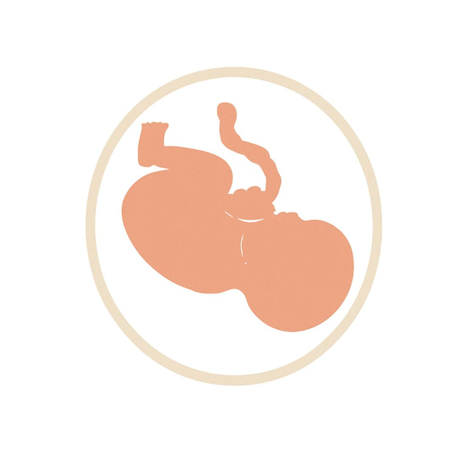 Fetal heartbeat rate between 31 and 40 weeks showing typical beats per minute range in late pregnancy