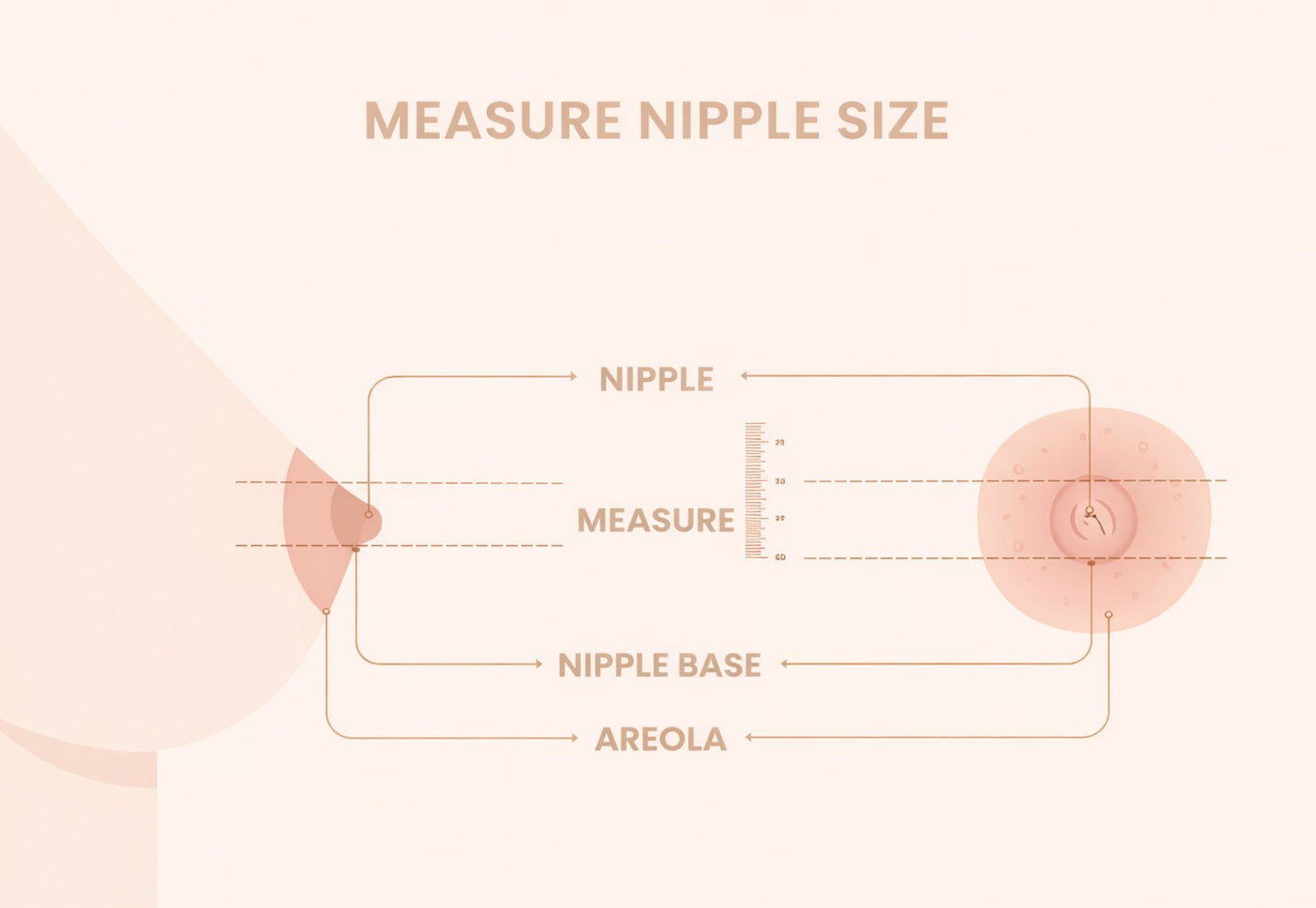 Step-by-step nipple measurement guide for selecting the correct breast pump flange size, including nipple width, nipple base, and areola measurements.