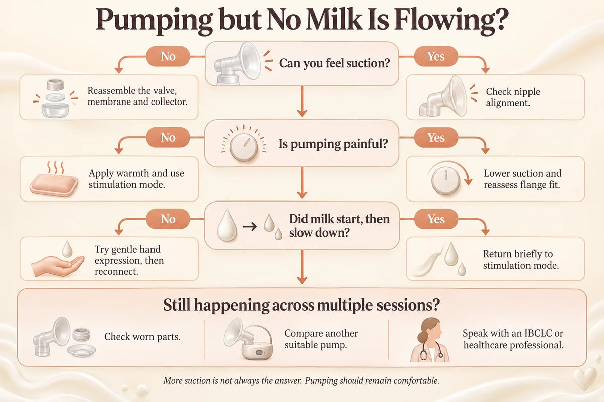 Troubleshooting flowchart for pumping with no milk flowing — guides mums through checking suction, pain, and flow to find the right fix