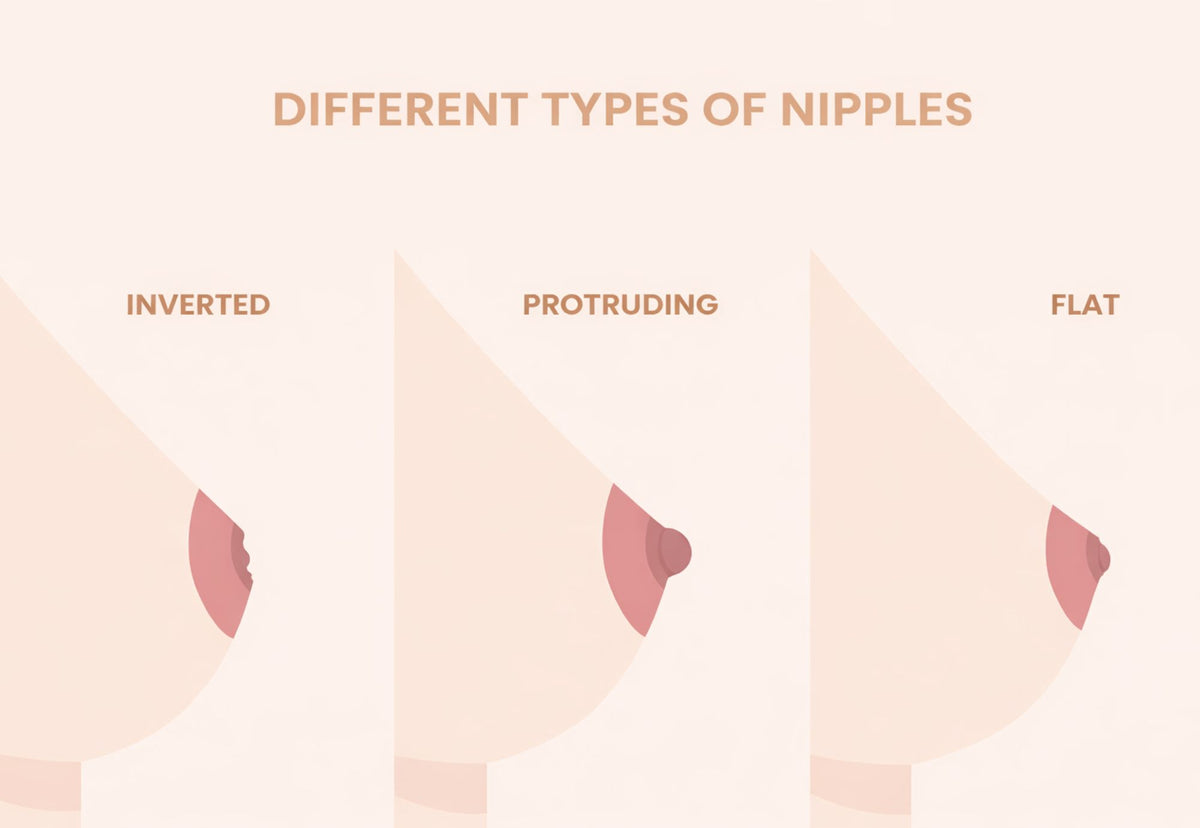 Diagram showing different nipple types, including inverted, protruding, and flat nipples, for selecting the correct breast pump flange size and improving pumping comfort.
